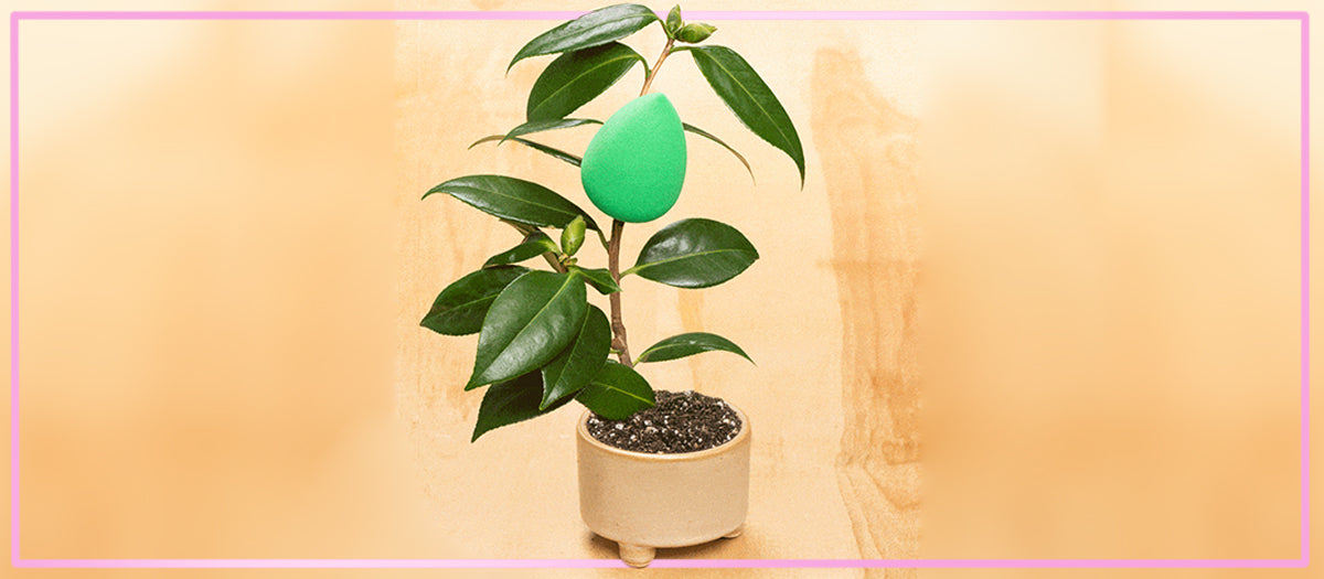 Sustainable Makeup: How Beautyblender Is Doing It Part